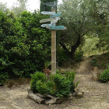 Casa Rural Torre De Campos Ainzon エクステリア 写真
