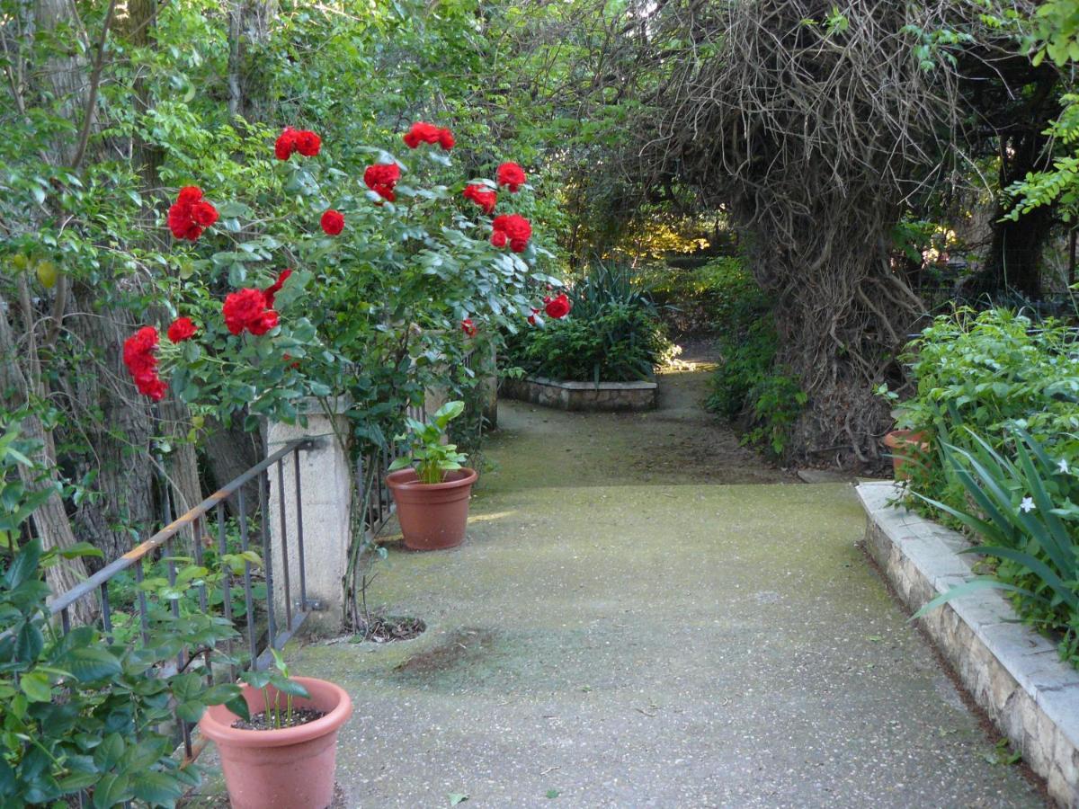 Casa Rural Torre De Campos Ainzon エクステリア 写真